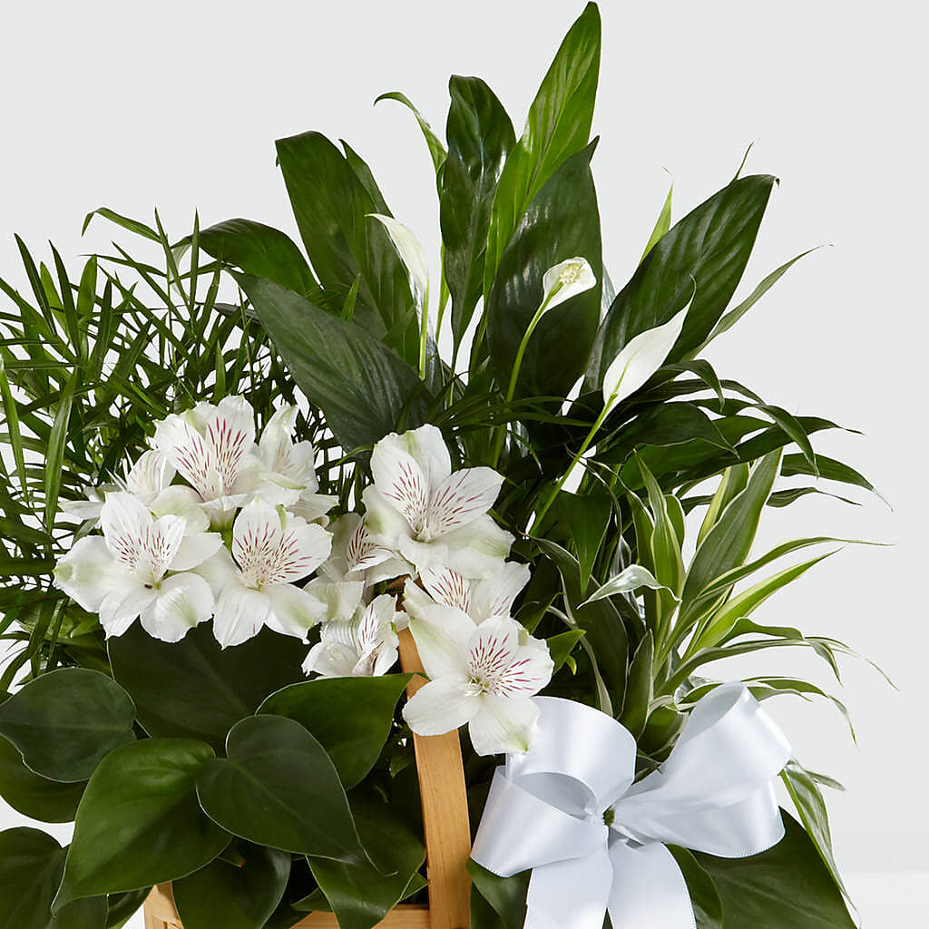 Peace & Serenity Dishgarden – Twigs N Blooms, Gaylord MI