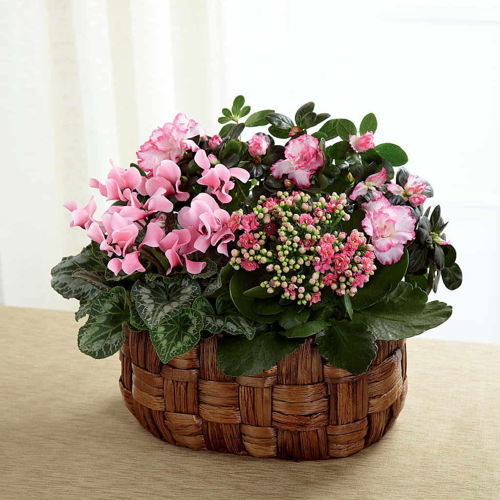 Pink Assortment – Twigs N Blooms, Gaylord MI