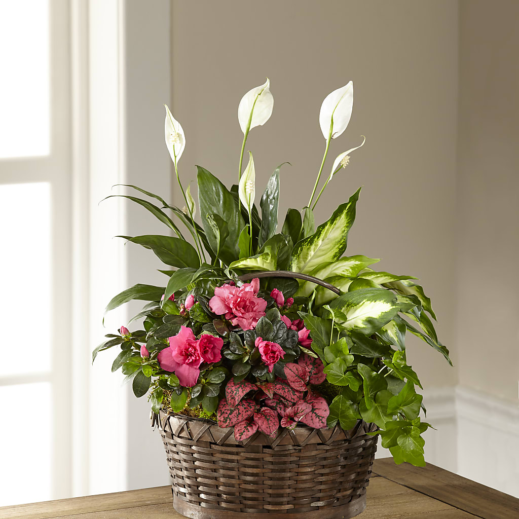 Dream in Pink Dishgarden – Twigs N Blooms, Gaylord MI