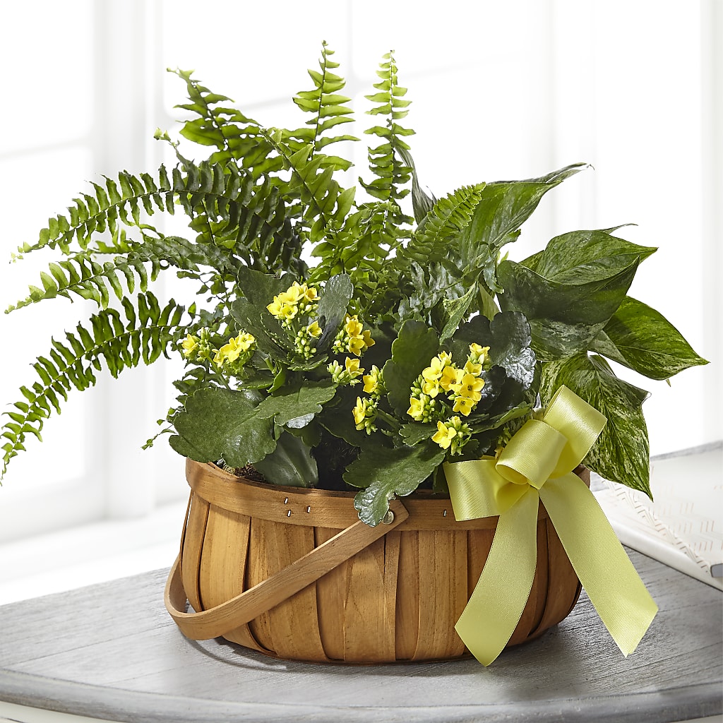 Always Dear Dishgarden – Twigs N Blooms, Gaylord MI