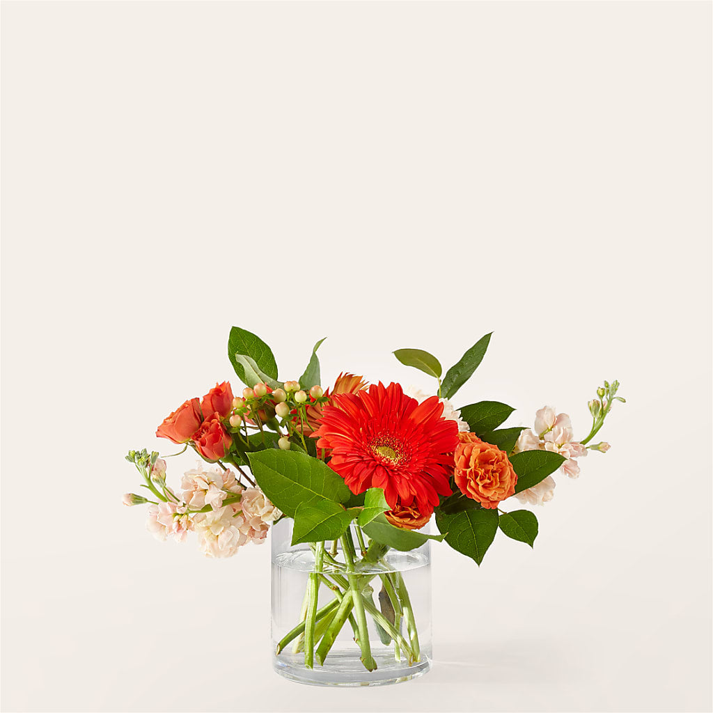 Paloma Please Bouquet – Twigs N Blooms, Gaylord MI