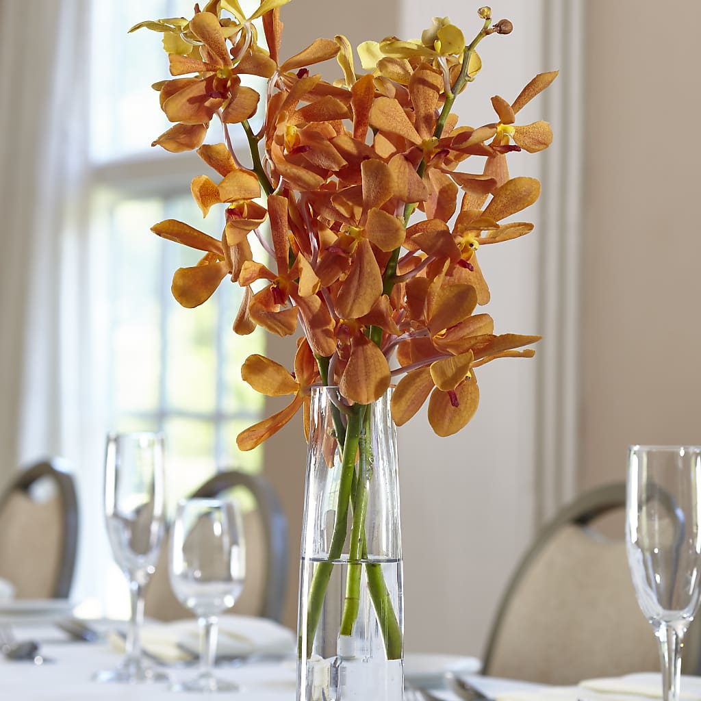 Orange Mokara Bud Vase – Twigs N Blooms, Gaylord MI