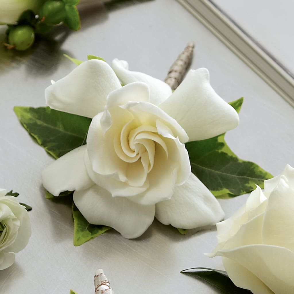 Gardenia Boutonniere – Twigs N Blooms, Gaylord MI