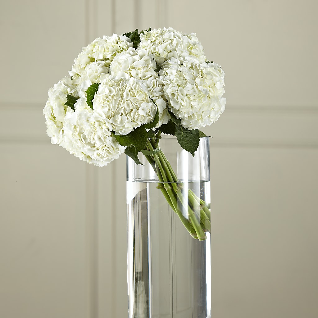 White Hydrangea Hand-Tied Bouquet – Twigs N Blooms, Gaylord MI