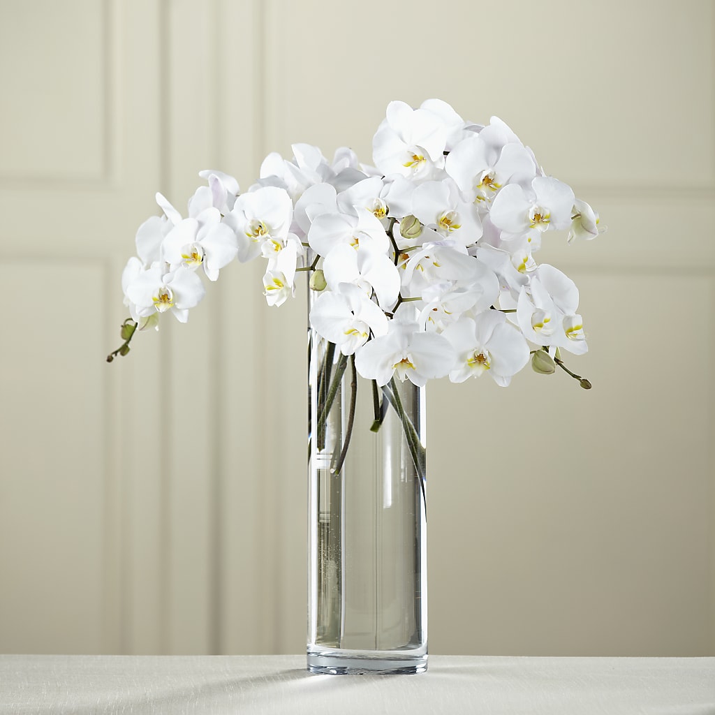 White Phalaenopsis Bouquet – Twigs N Blooms, Gaylord MI