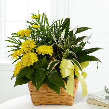 Loving Light Dishgarden –  Twigs N Blooms, Gaylord MI