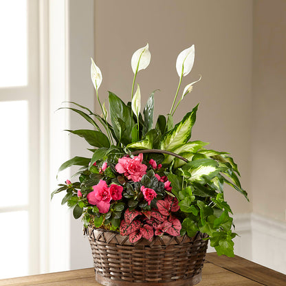 Dream in Pink Dishgarden –  Twigs N Blooms, Gaylord MI