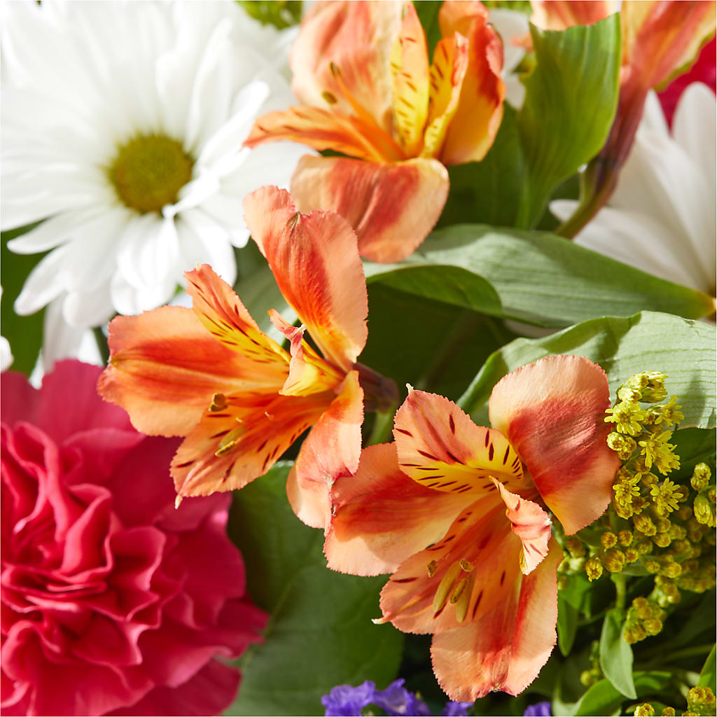 Oopsie Daisy Box Bouquet –  Twigs N Blooms, Gaylord MI