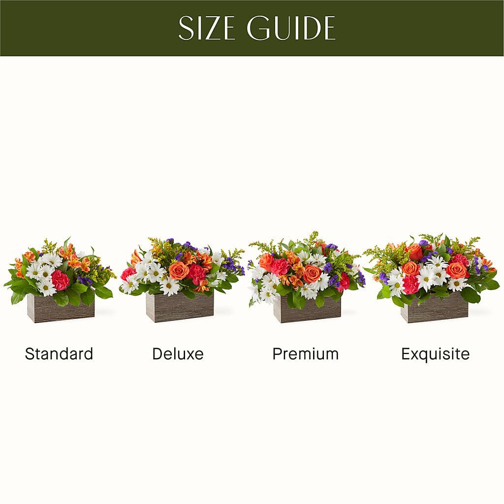 Oopsie Daisy Box Bouquet –  Twigs N Blooms, Gaylord MI