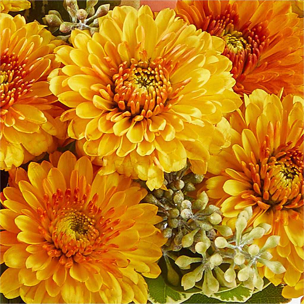 Peachy Pumpkin –  Twigs N Blooms, Gaylord MI