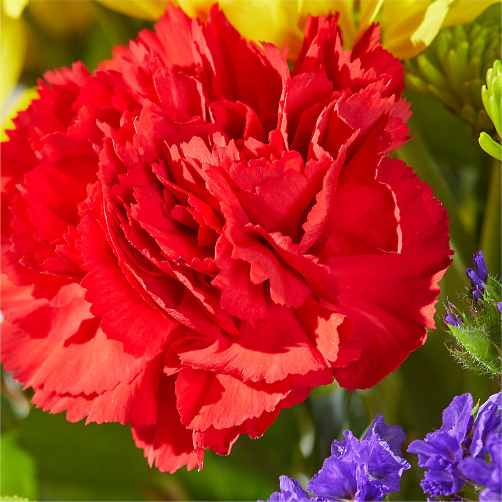 Brighter Days Bouquet –  Twigs N Blooms, Gaylord MI