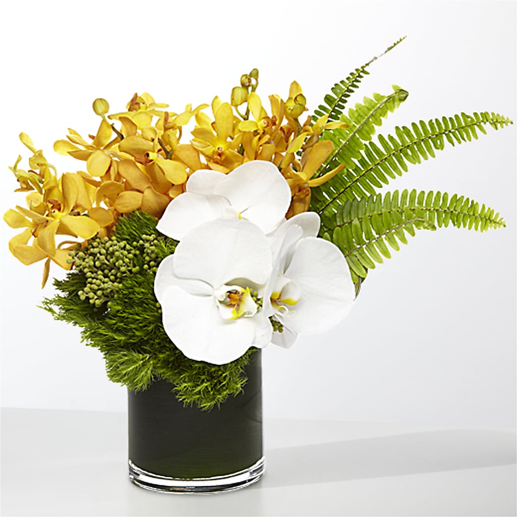 The Tropics –  Twigs N Blooms, Gaylord MI