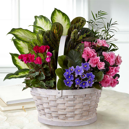 Peaceful Garden Planter –  Twigs N Blooms, Gaylord MI