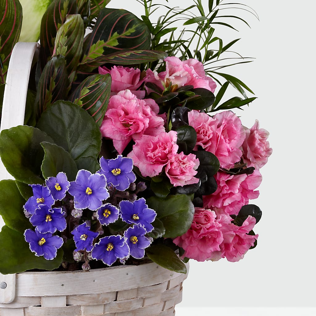 Peaceful Garden Planter –  Twigs N Blooms, Gaylord MI