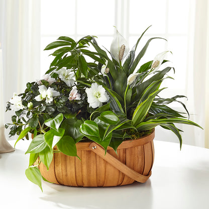 Serene Dishgarden –  Twigs N Blooms, Gaylord MI