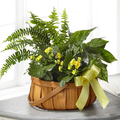 Always Dear Dishgarden –  Twigs N Blooms, Gaylord MI
