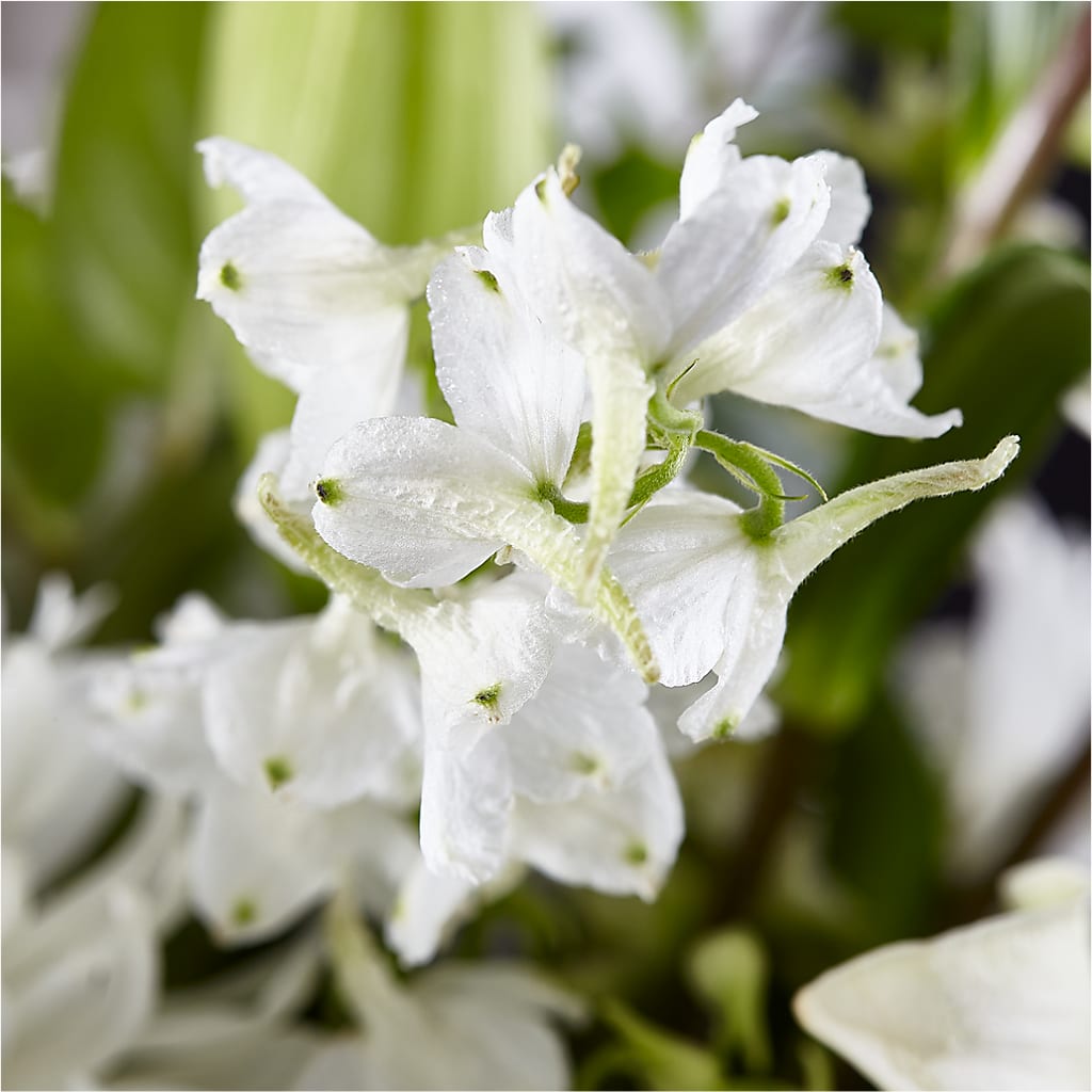 Classic Ivory – A Florist Original –  Twigs N Blooms, Gaylord MI