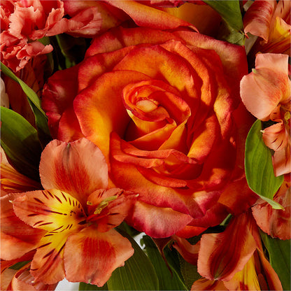 Apricot Glow Bouquet –  Twigs N Blooms, Gaylord MI