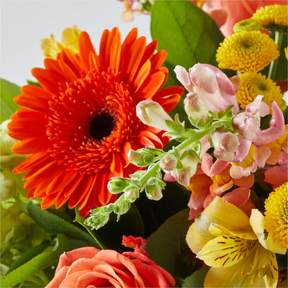 Autumn Sunshine Bouquet –  Twigs N Blooms, Gaylord MI