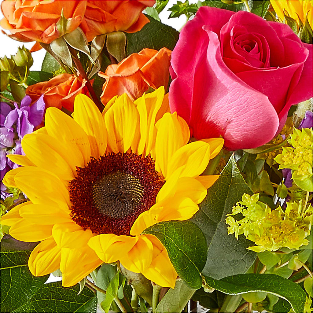 Vibrant Greetings Bouquet –  Twigs N Blooms, Gaylord MI