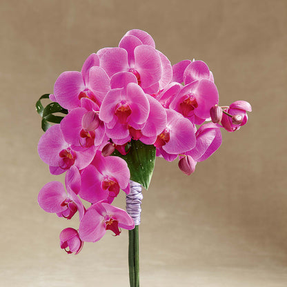 Glorious Bouquet –  Twigs N Blooms, Gaylord MI
