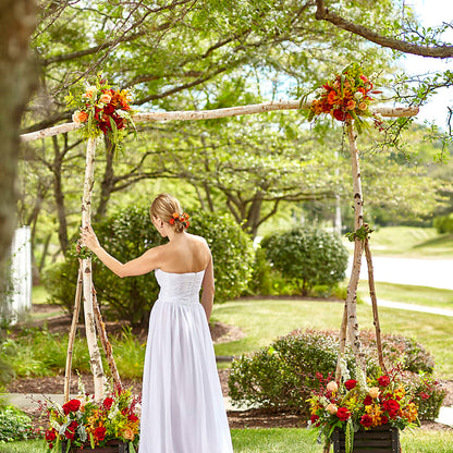 Arbor of Love Archway –  Twigs N Blooms, Gaylord MI