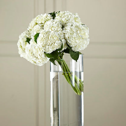 White Hydrangea Hand-Tied Bouquet –  Twigs N Blooms, Gaylord MI